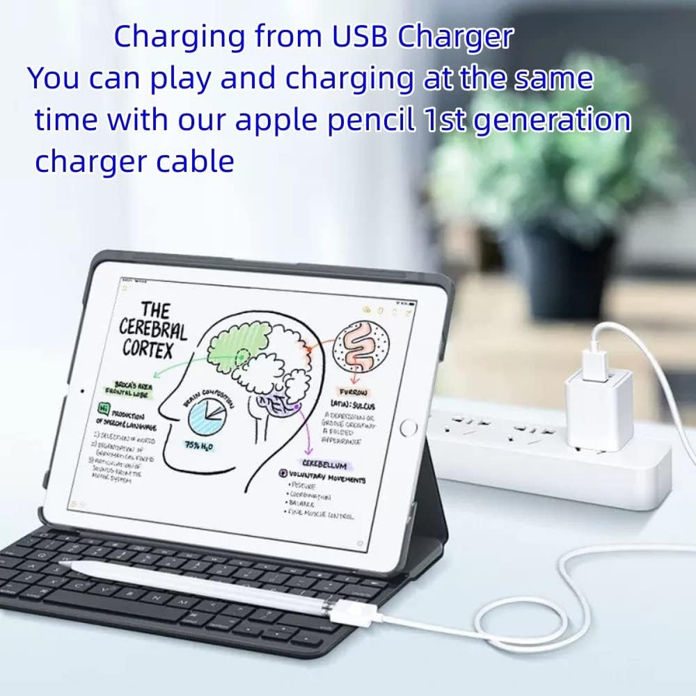 Apple Pencil 1st Charging Cable