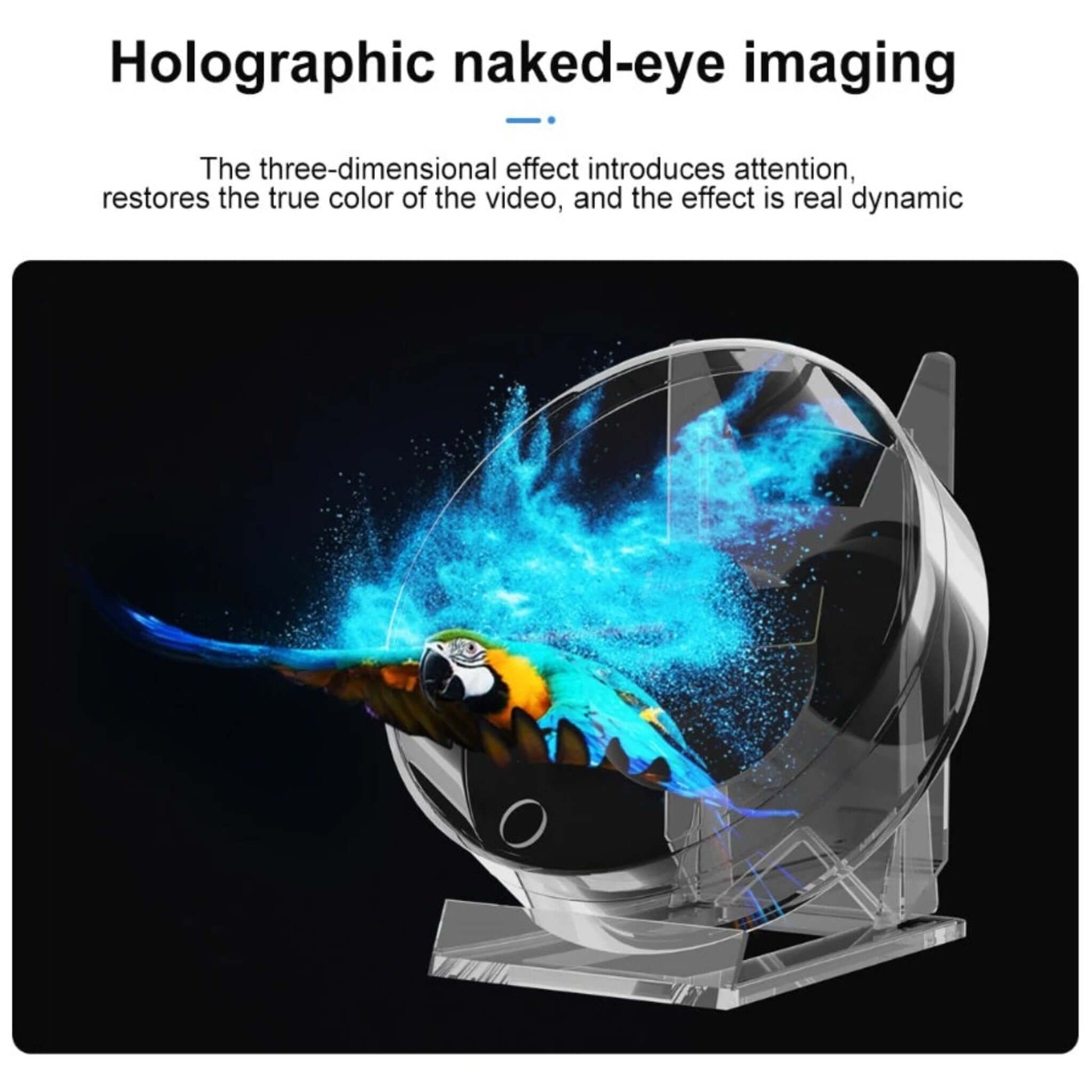 3D hologram fan demonstrating vivid, dynamic holographic naked-eye imaging with a flying parrot in blue light.