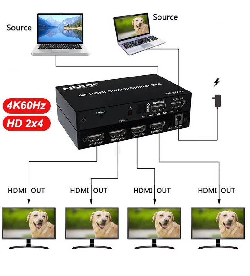 HDMI 2入4出 (單1畫面)