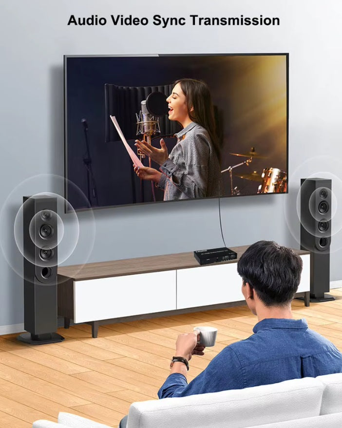 HDMI 2入4出 (單1畫面)