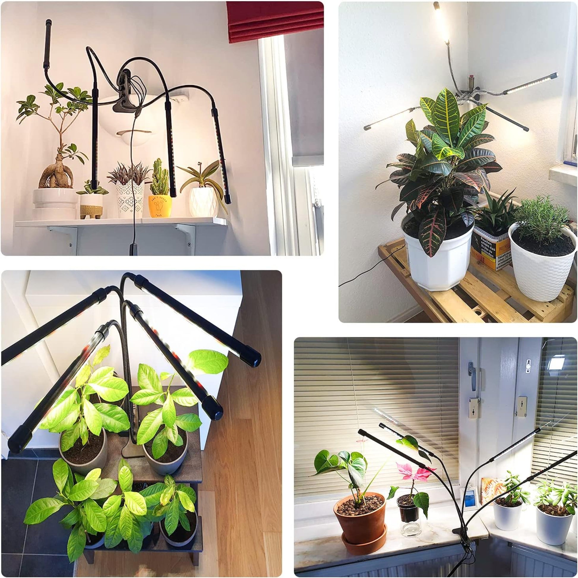 Collage of indoor plants illuminated by a multi-functional 4-head LED grow light, showcasing full spectrum light for growth.