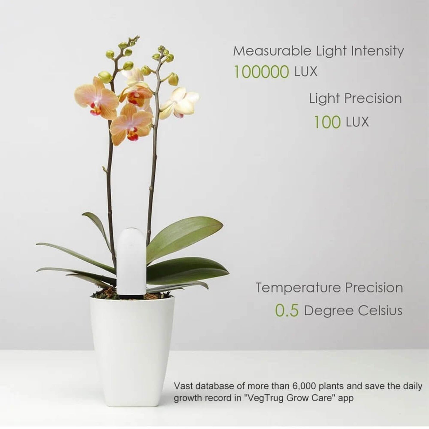 Smart plant monitor inserted in an orchid pot, highlighting measurable light intensity up to 100,000 LUX with 100 LUX precision.