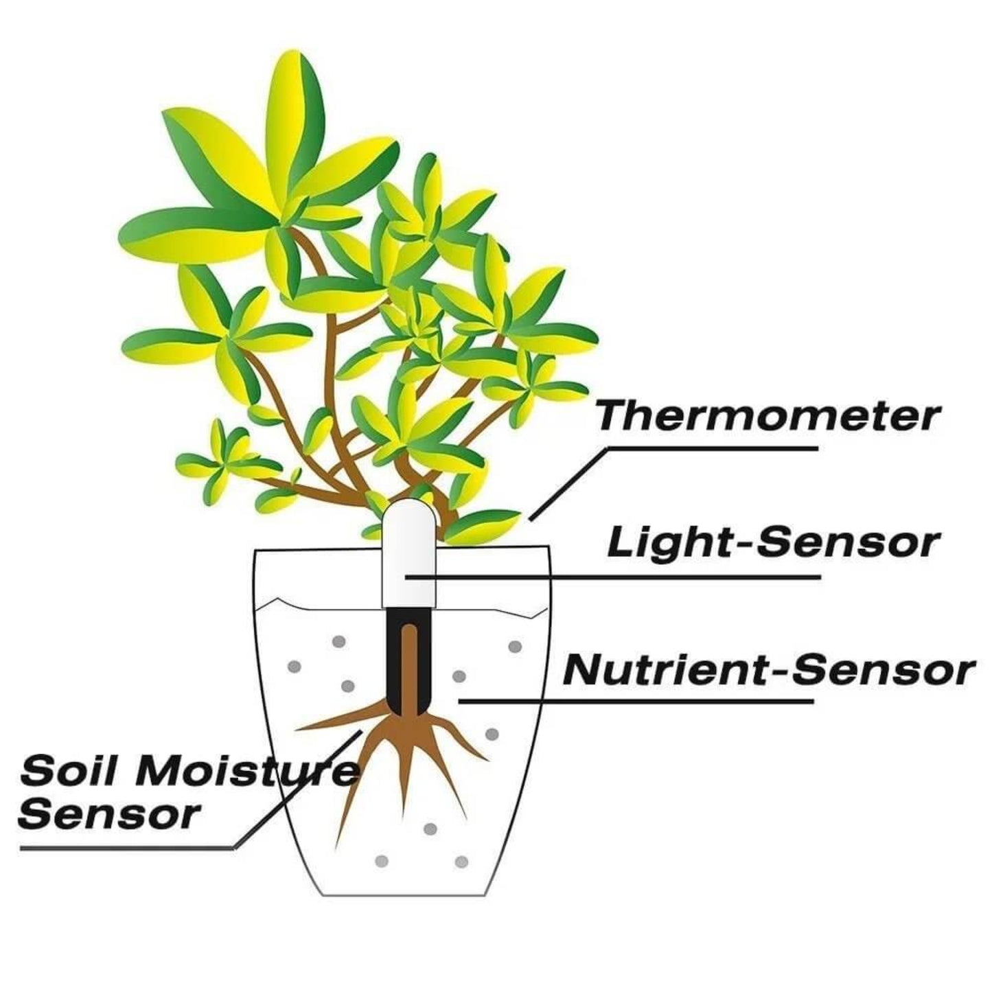 Diagram of a plant with the smart monitor inserted, labeling its components: Thermometer, Light-Sensor, Nutrient-Sensor, and Soil Moisture Sensor.