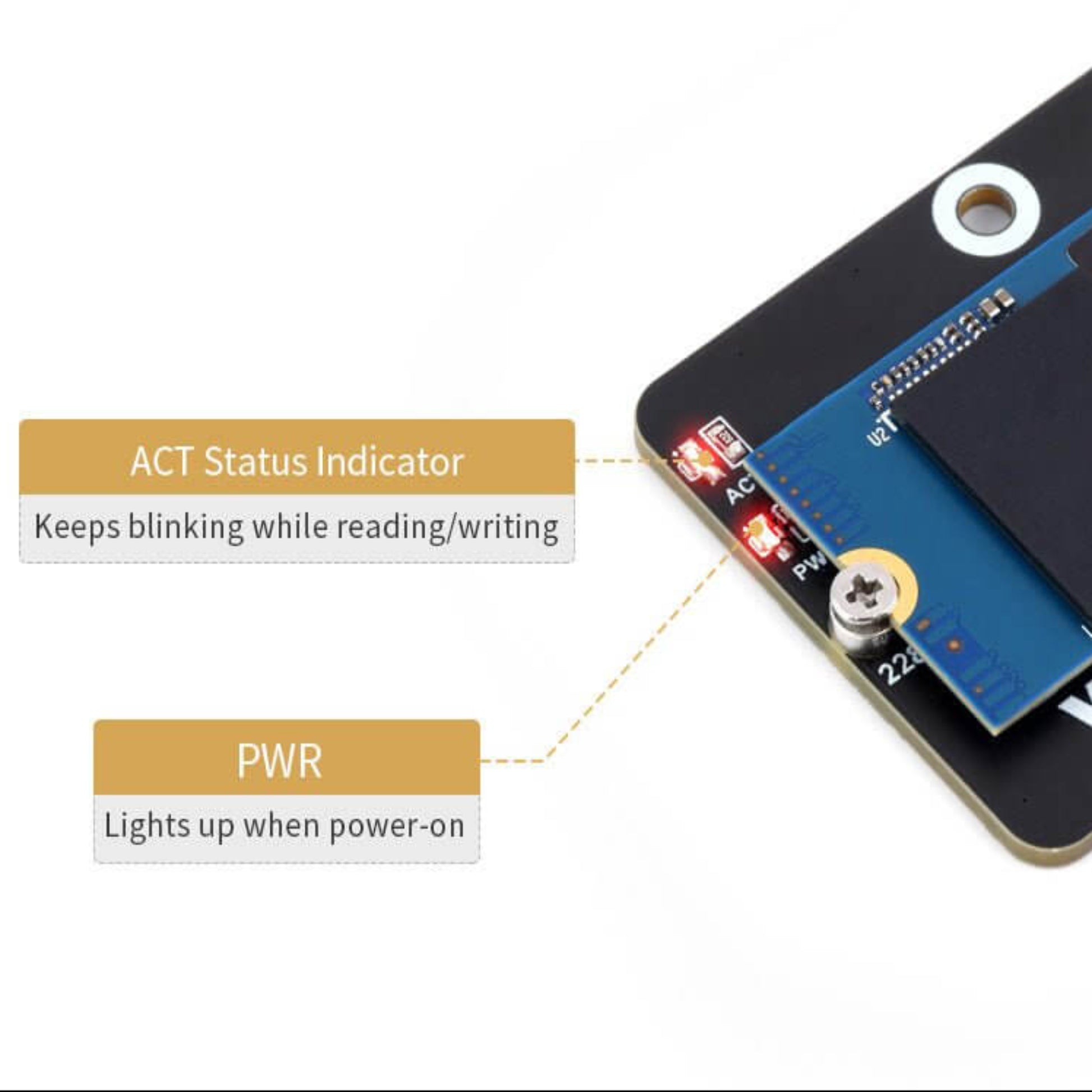 M.2 SSD mounted on the adapter board, highlighting the PWR (power) and ACT (read/write activity) status LEDs.