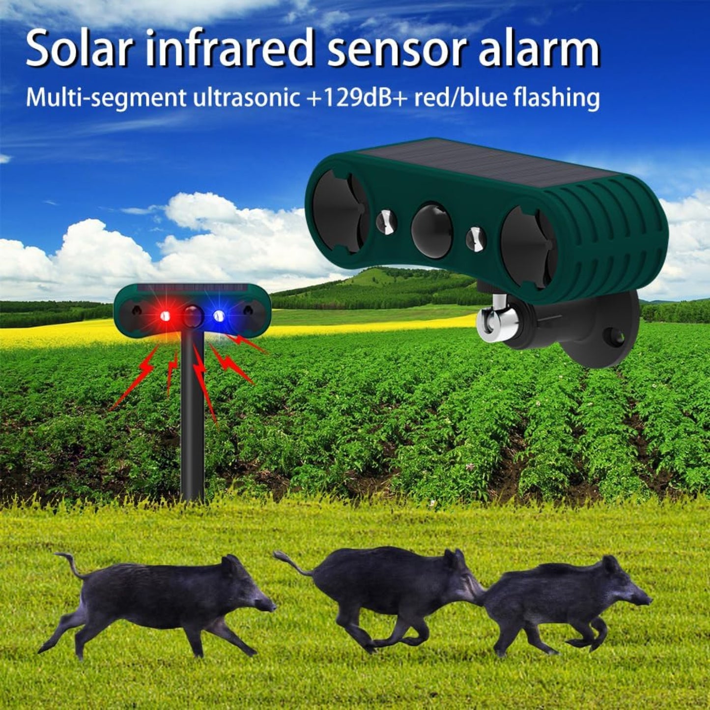 A solar infrared sensor alarm effectively repelling wild boars from a field.