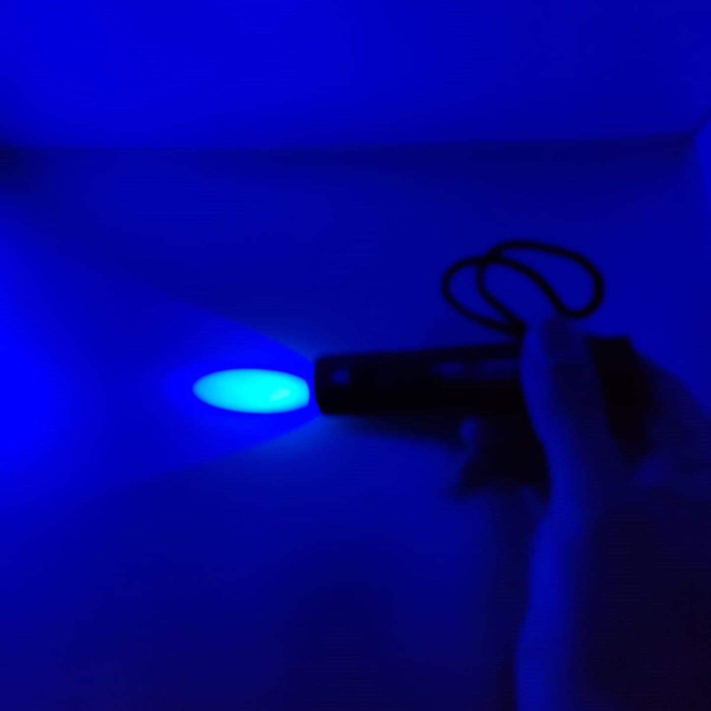 Close-up of a hand holding a rechargeable UV flashlight emitting a blue light on a surface.