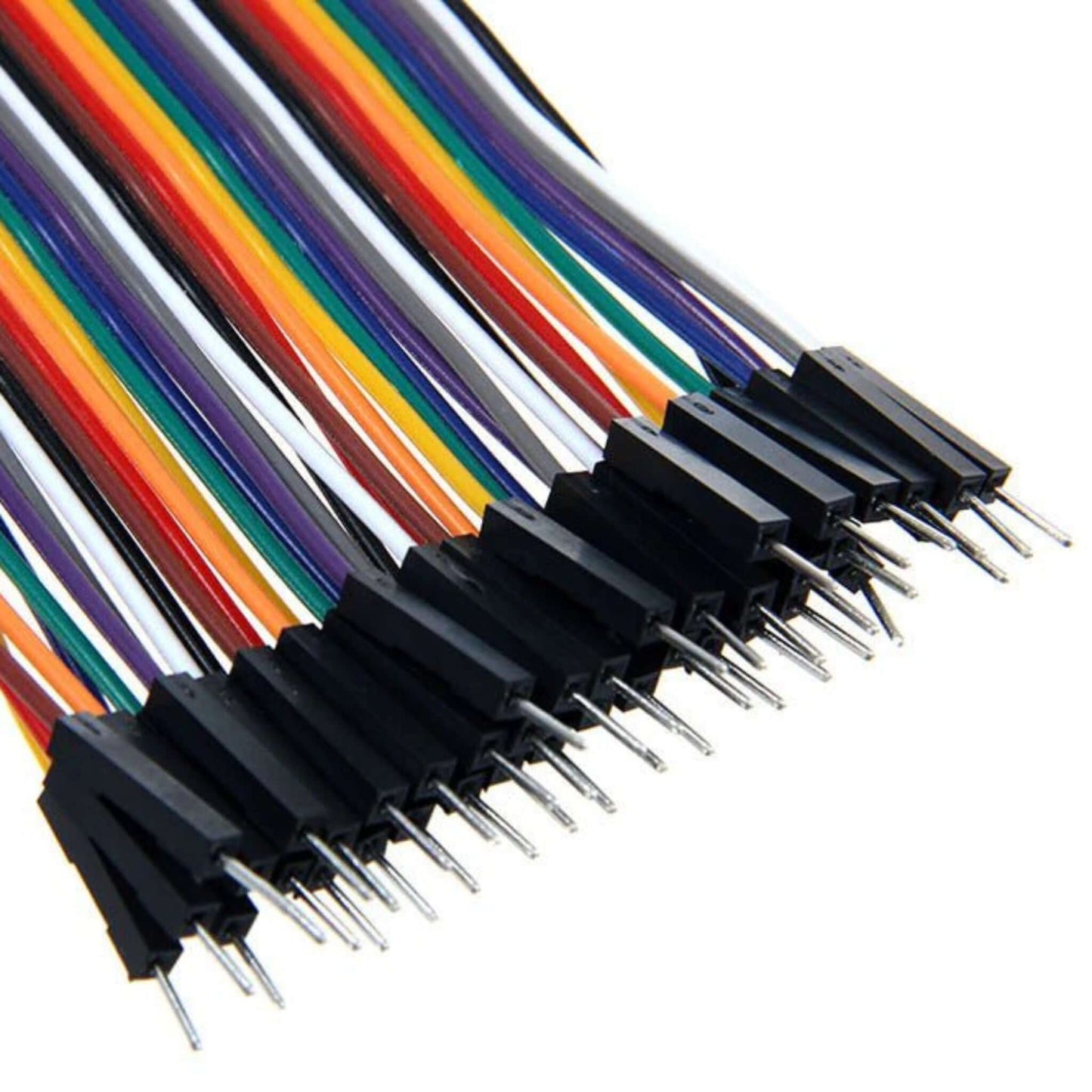 Close-up view of the male pin connectors on a 40-pin ribbon of Dupont jumper wires.