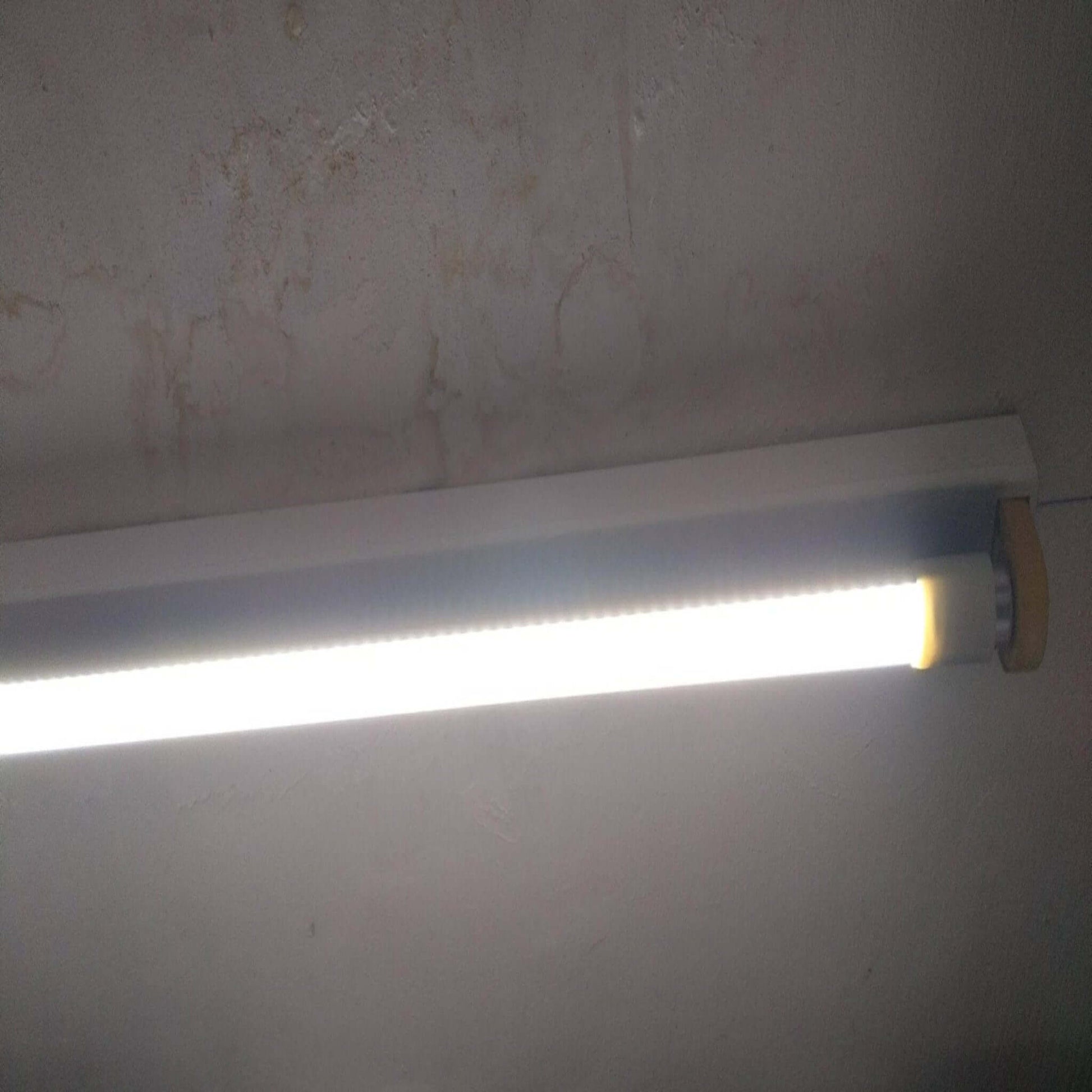 T8 48" LED tube light emitting bright cool white light for energy-efficient illumination.