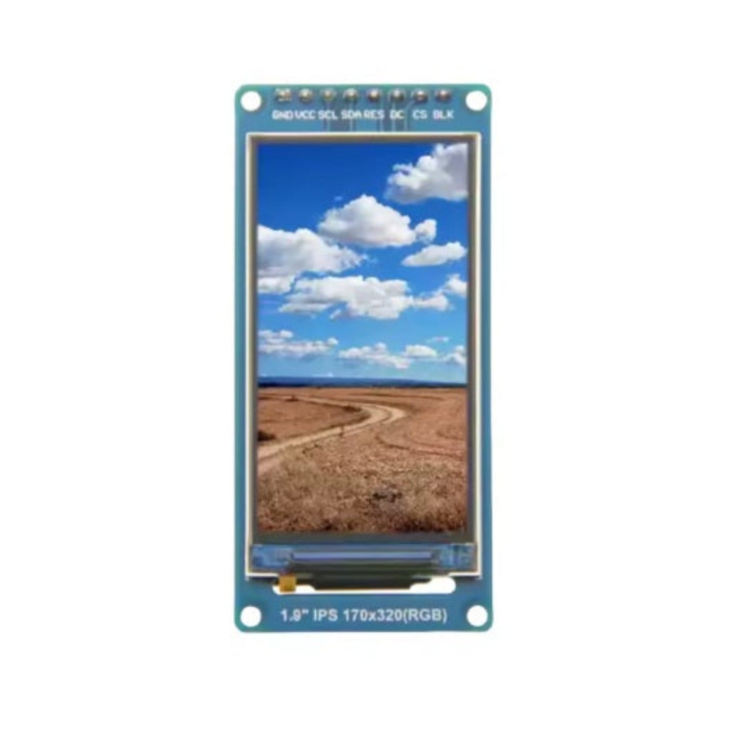 Front view of 1.9 inch TFT LCD showing 170x320 color display.