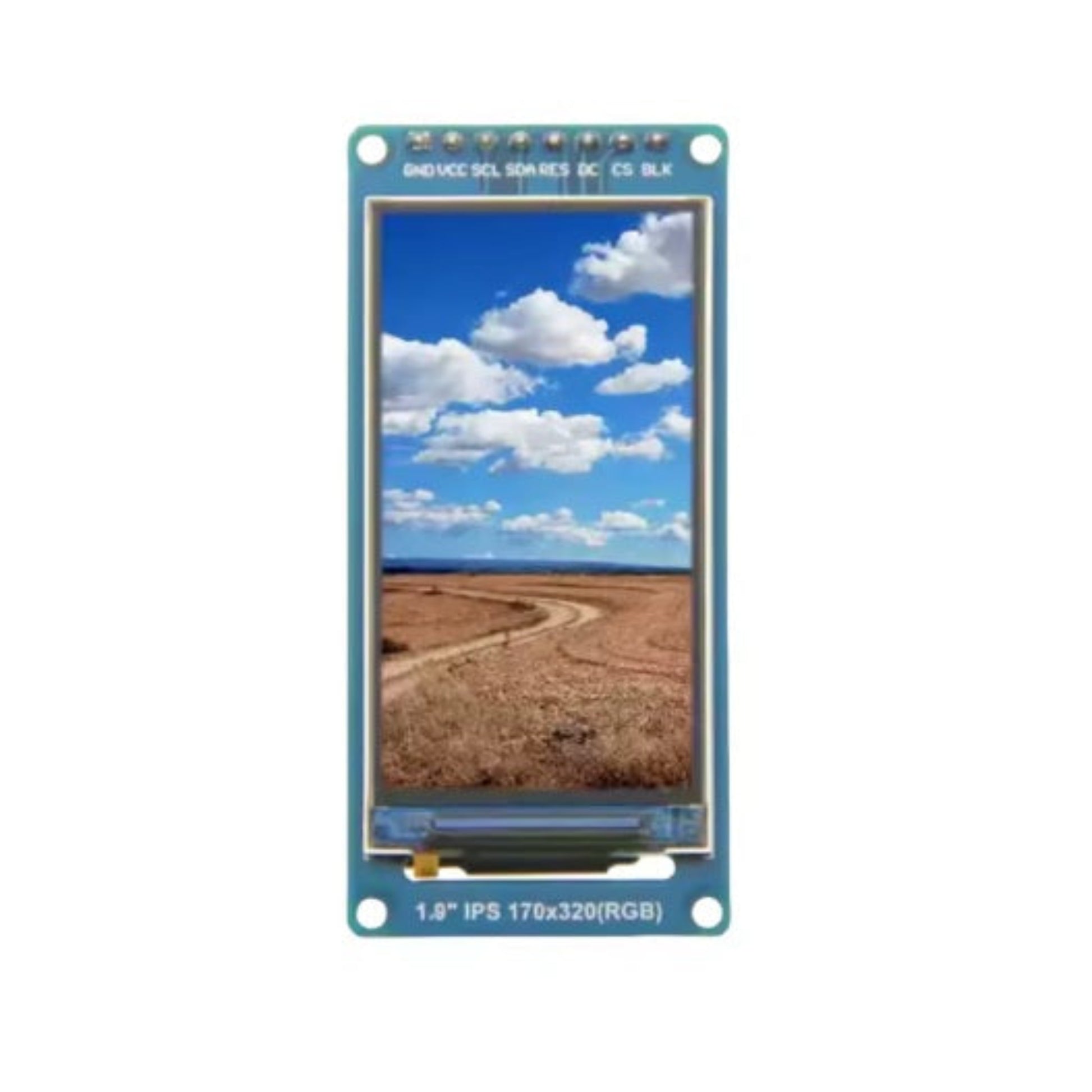 Front view of 1.9 inch TFT LCD showing 170x320 color display.
