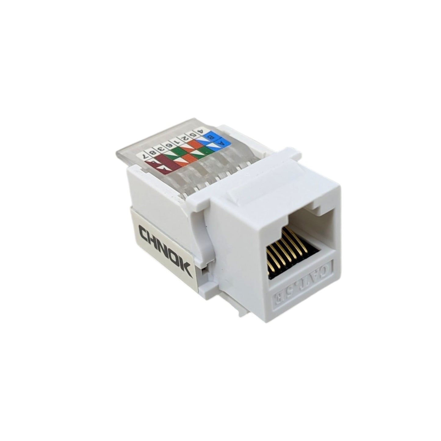 CHNOK Cat5e RJ45 寬頻面板模塊正面圖，展示具備防氧化功能的 6U 鍍金觸針。