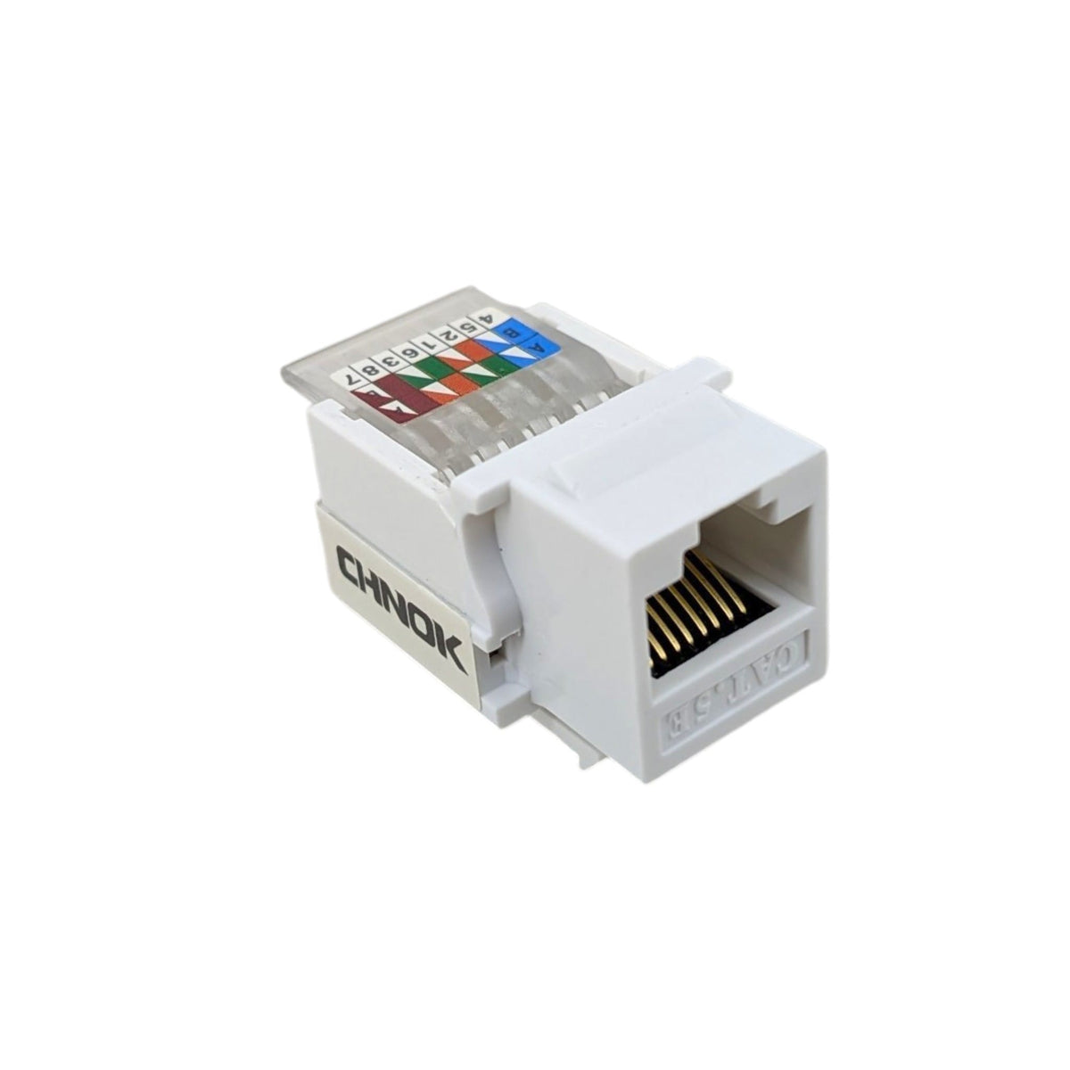 CHNOK Cat5e RJ45 寬頻面板模塊正面圖，展示具備防氧化功能的 6U 鍍金觸針。