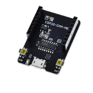 Electronic Module