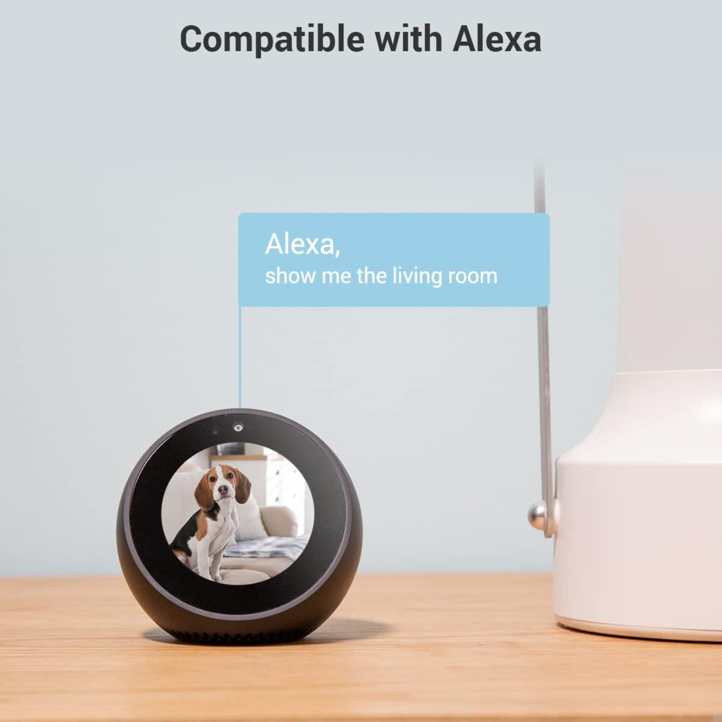 EZVIZ H6c Pro compatibility with Amazon Alexa. Echo Show displaying live indoor camera feed of a pet dog.