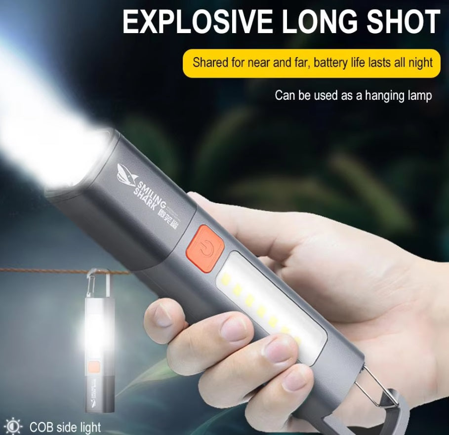 flashlight hk