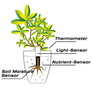 Smart Plant Flower Care Monitor