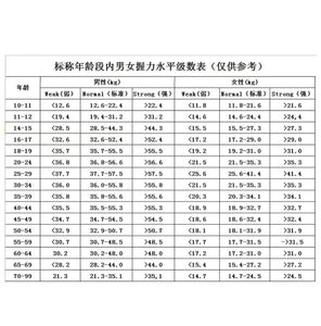 握力測試儀120kg