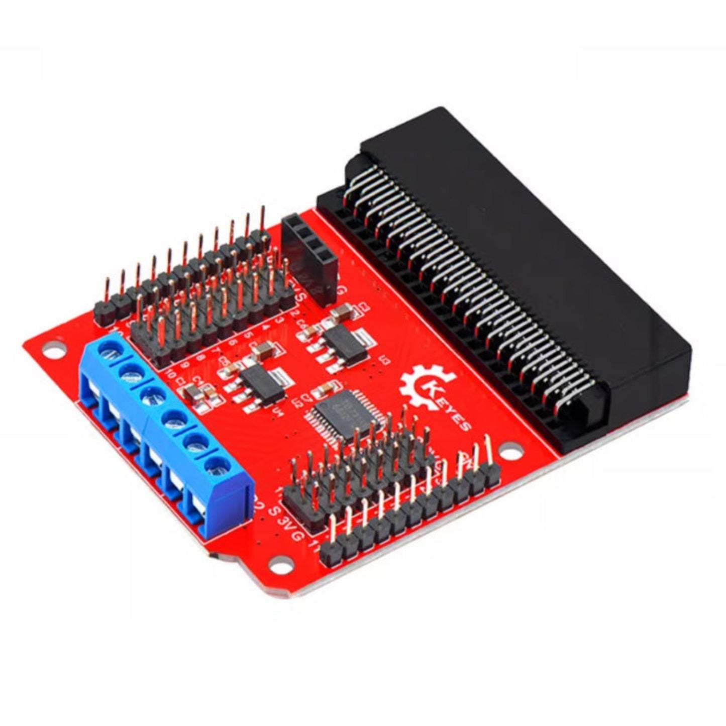 Side angle view of Micro:bit motor shield showing terminal blocks and edge connector.