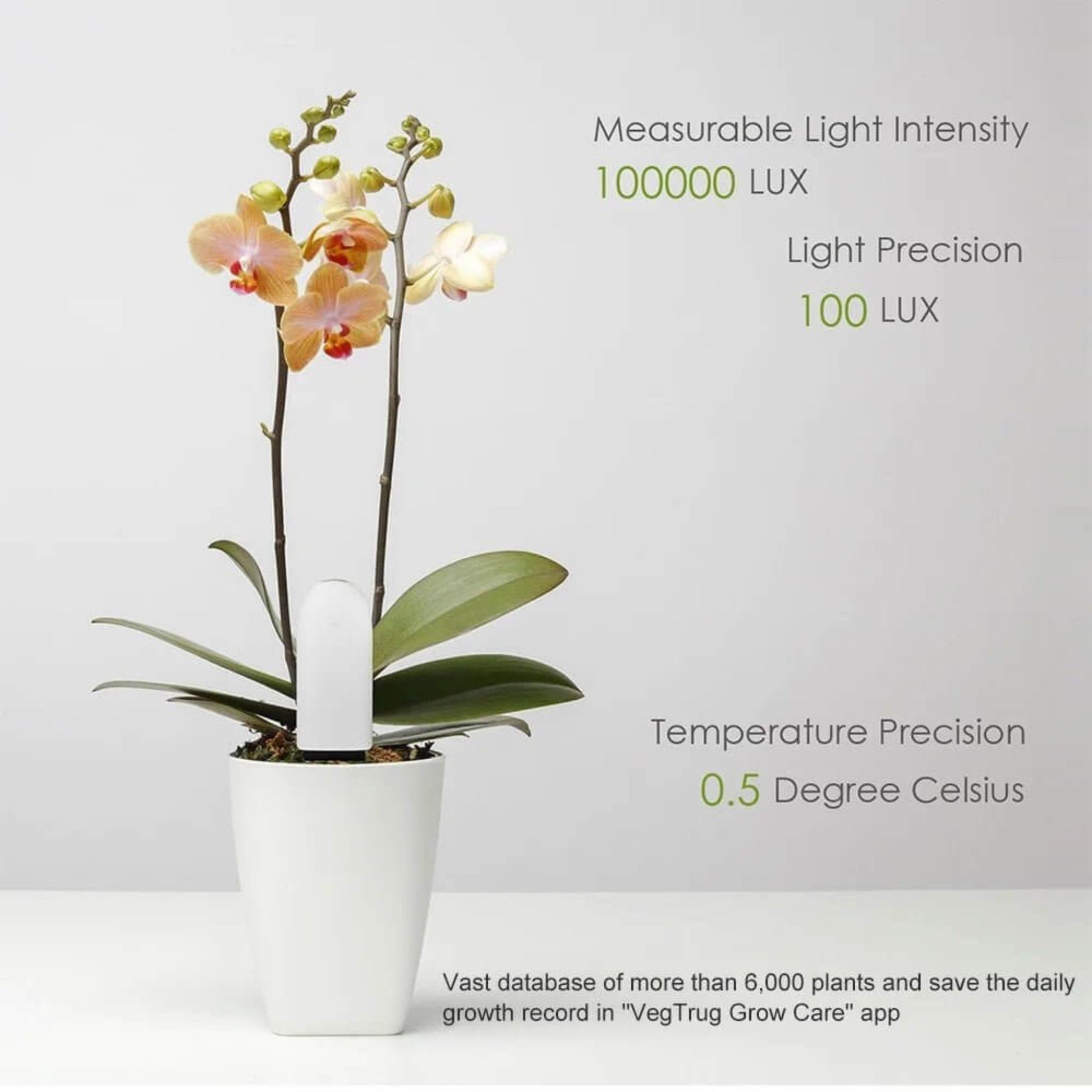 Smart plant monitor inserted in an orchid pot, highlighting measurable light intensity up to 100,000 LUX with 100 LUX precision.