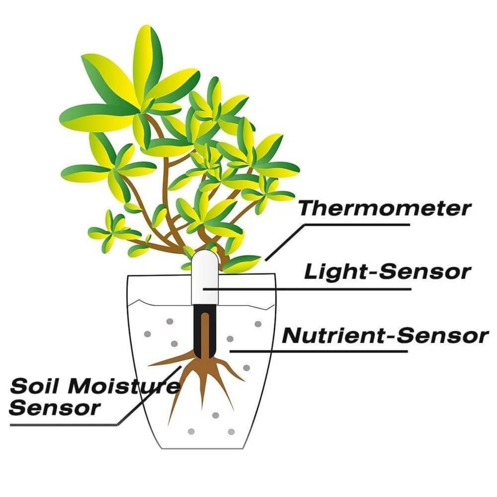 Diagram of a plant with the smart monitor inserted, labeling its components: Thermometer, Light-Sensor, Nutrient-Sensor, and Soil Moisture Sensor.