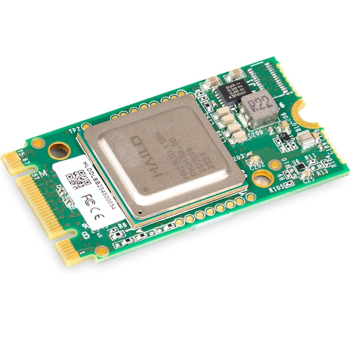 官方 Raspberry Pi AI 套件，展示其核心的 Hailo-8L 神經網絡推理加速模組。