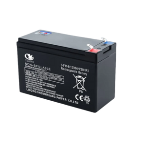 Rechargeable Battery