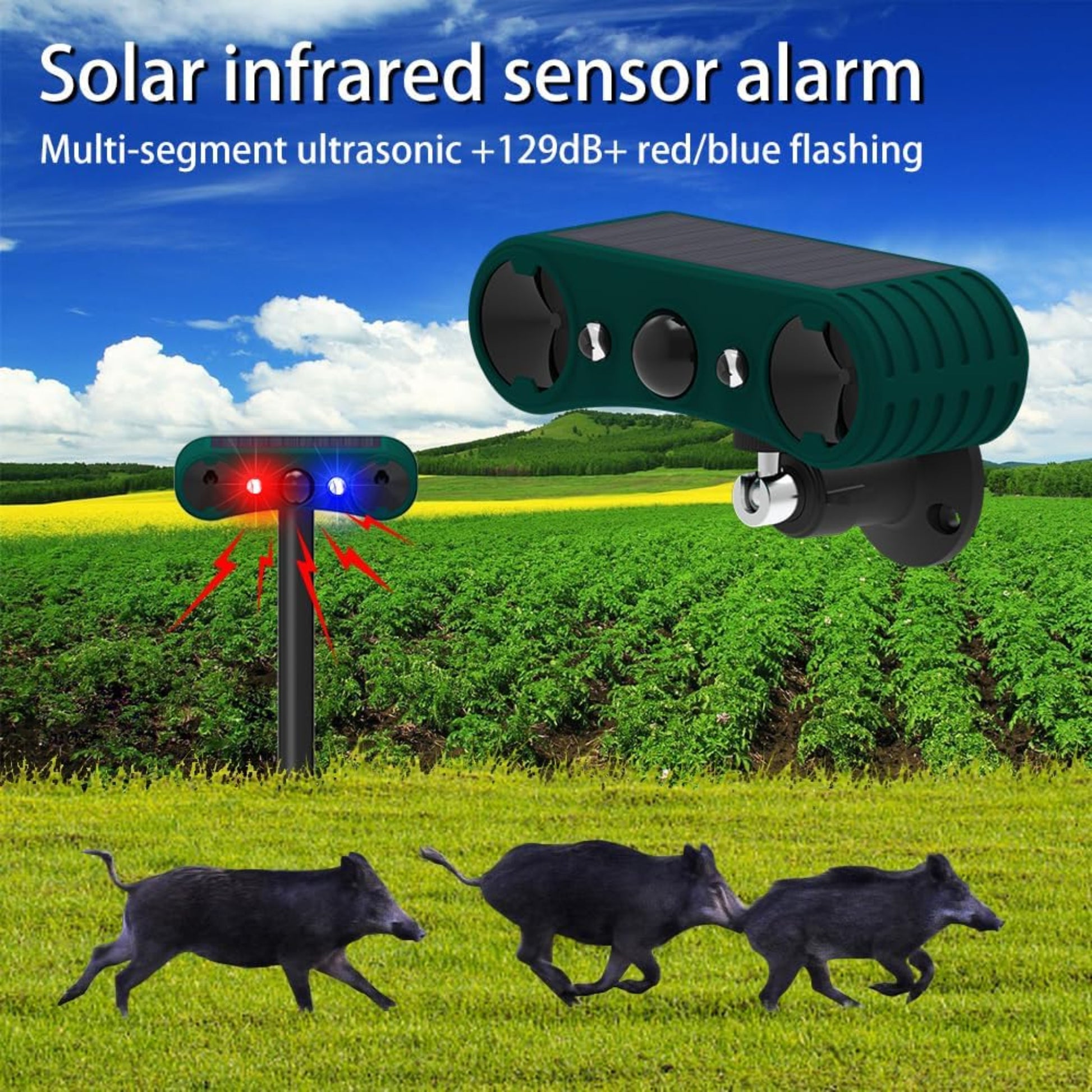 A solar infrared sensor alarm effectively repelling wild boars from a field.