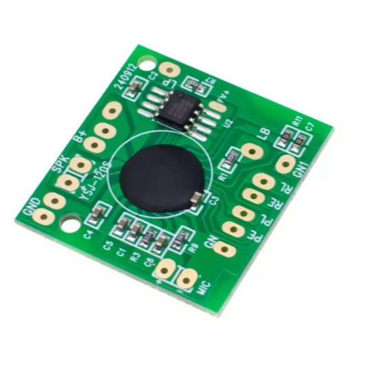 Angled view of a green voice recorder sound module, 120-second capacity, for electronic toy applications.