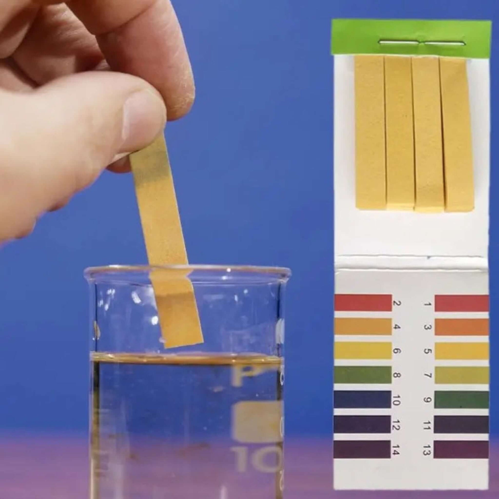Hand dipping pH test strip into water, with color chart visible for accurate aquarium pH measurement.