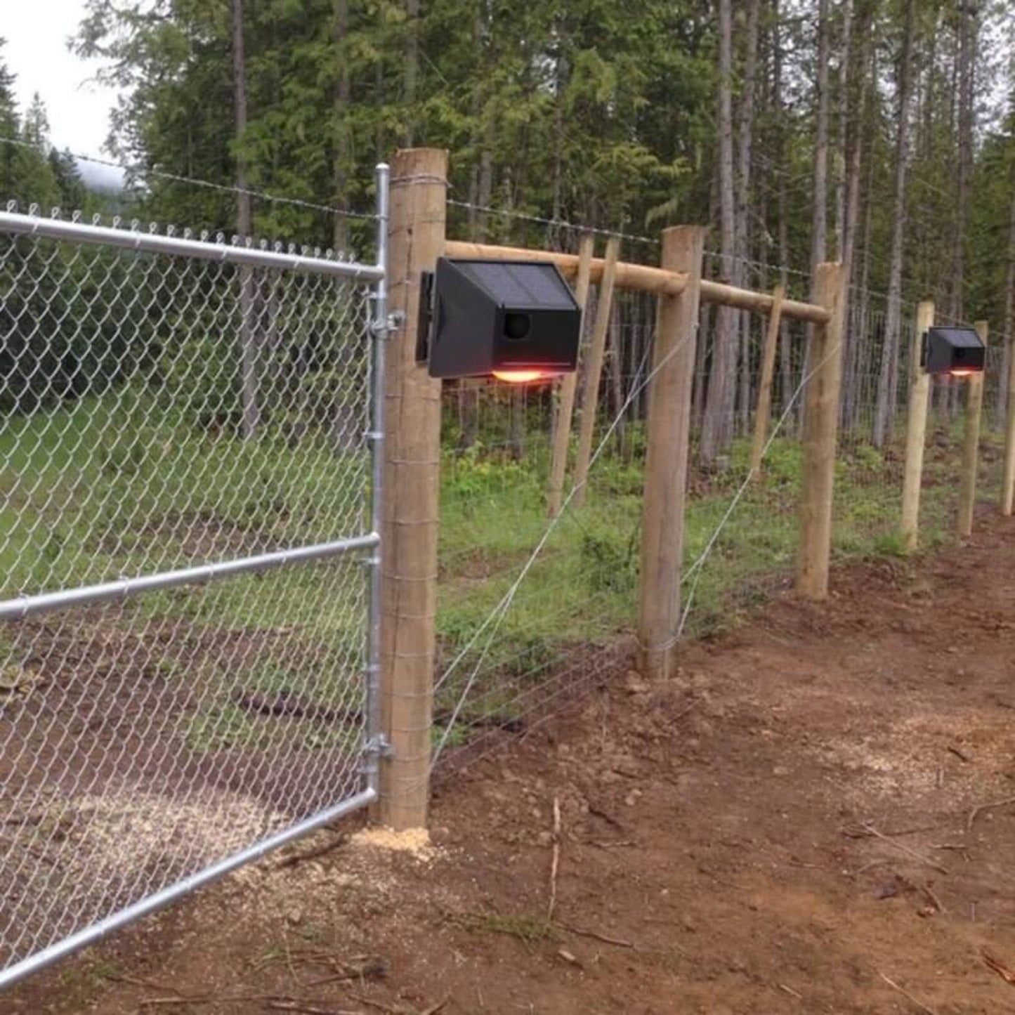 Solar animal repellent alarm light installed on a barbed wire fence post to protect property near a forest.