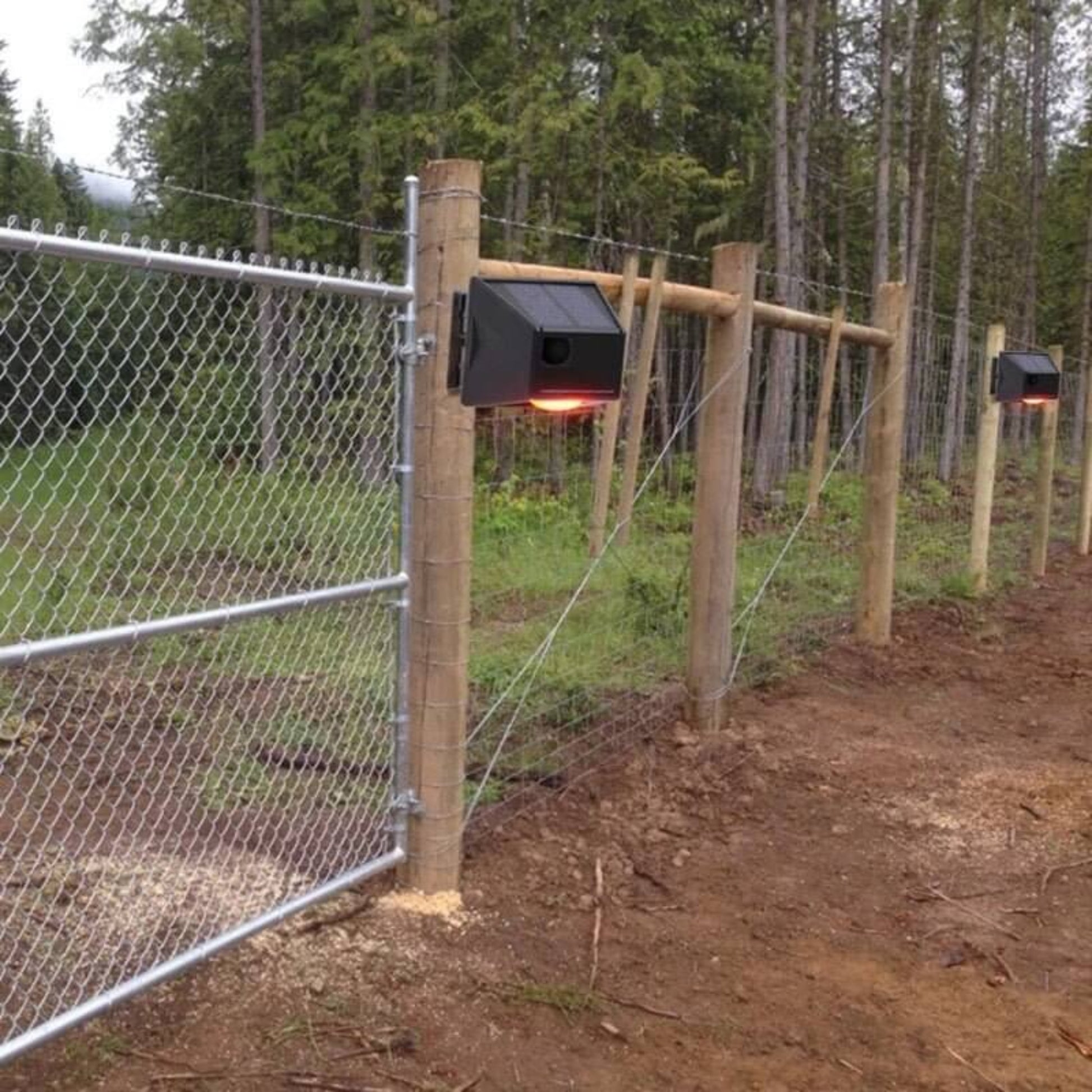 Solar animal repellent alarm light installed on a barbed wire fence post to protect property near a forest.
