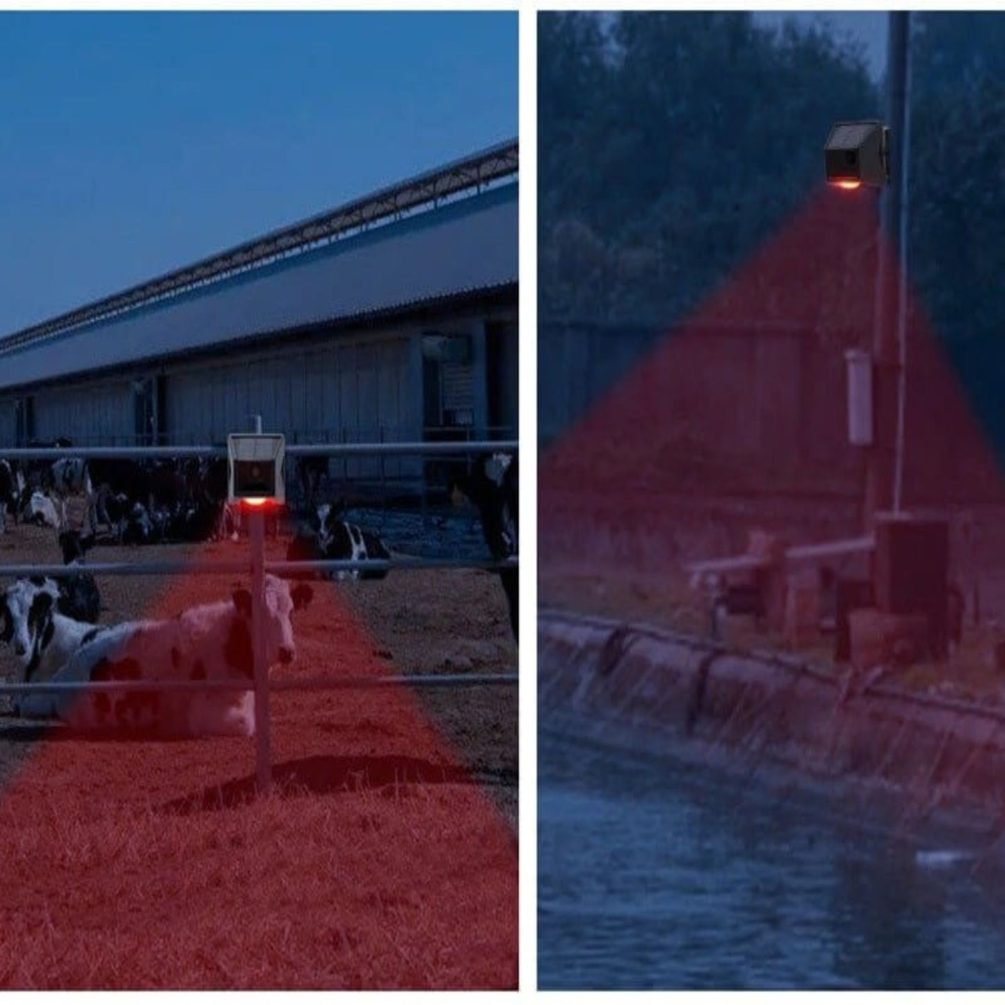 Application of solar animal driver alarm on a farm/water edge, showing the red infrared sensing zone preventing intrusion.
